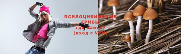 Альфа ПВП Ельня