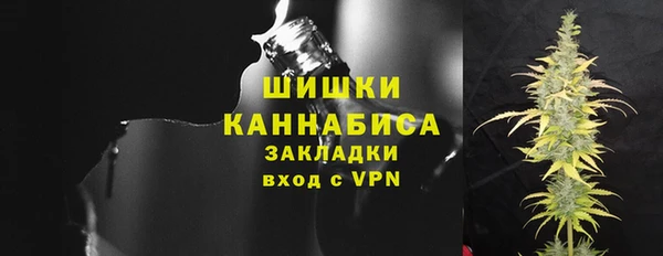 Альфа ПВП Ельня