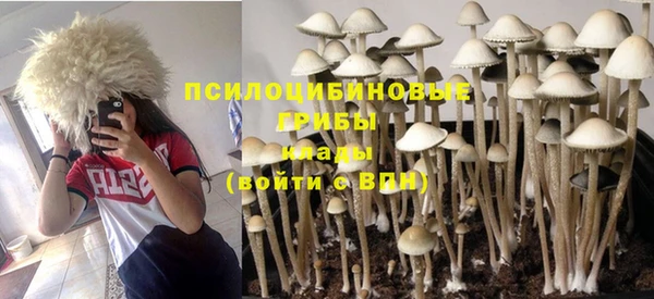 ALPHA-PVP Елабуга