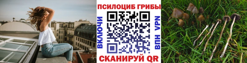 гидра вход  даркнет формула  Галлюциногенные грибы Psilocybine cubensis  где продают наркотики  Кремёнки 